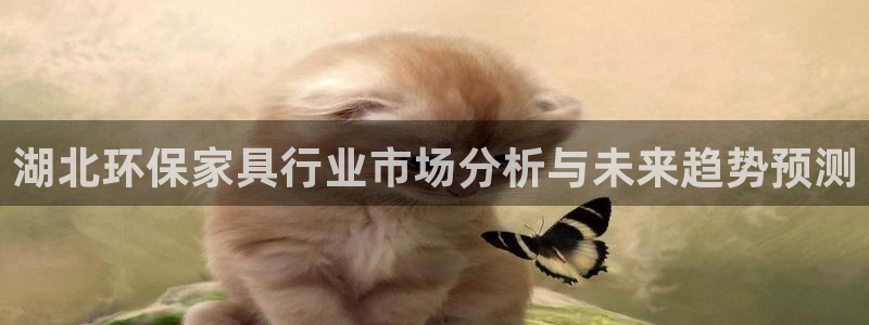 沐鸣2平台服务中心是干嘛的