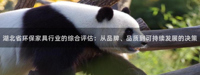 沐鸣2官网app