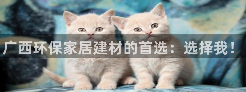 沐鸣2app怎样申请退款