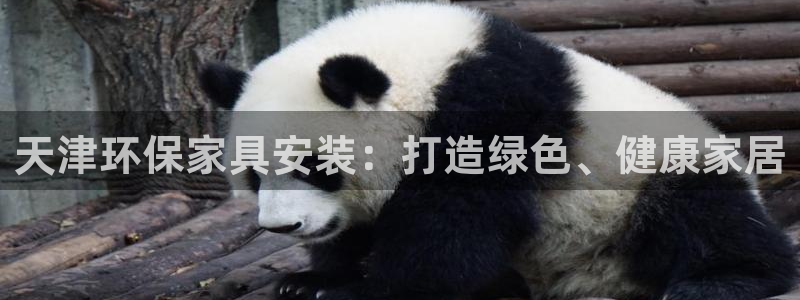 沐鸣2平台登录入口：天津环保家具安装：打造绿色、健康家居