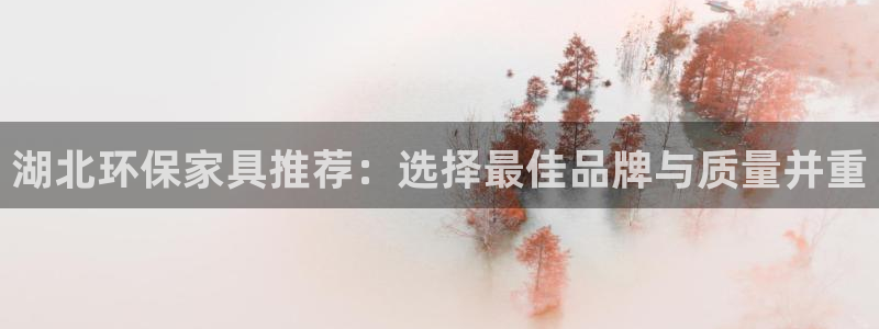 沐鸣2平台靠谱吗：湖北环保家具推荐：选择最佳品牌与质量并重