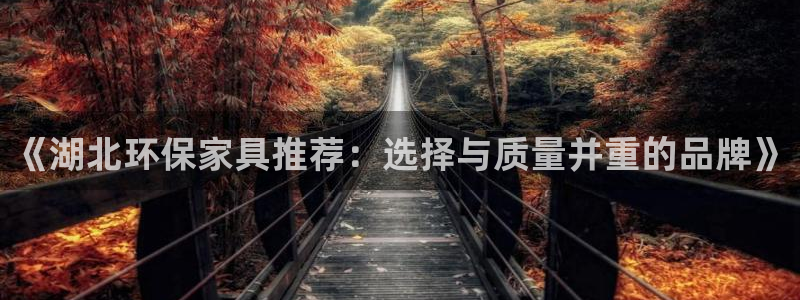 沐鸣2平台指定：《湖北环保家具推荐：选择与质量并重的品牌》