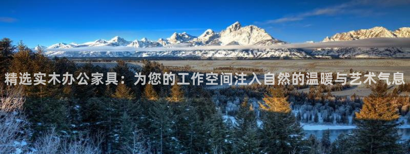 沐鸣2平台首页登录：精选实木办公家具：为您的工作空间注入自然